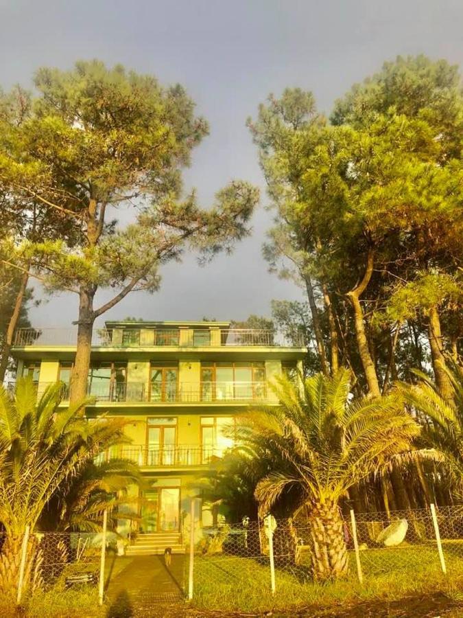 Shekvetili Green House المظهر الخارجي الصورة