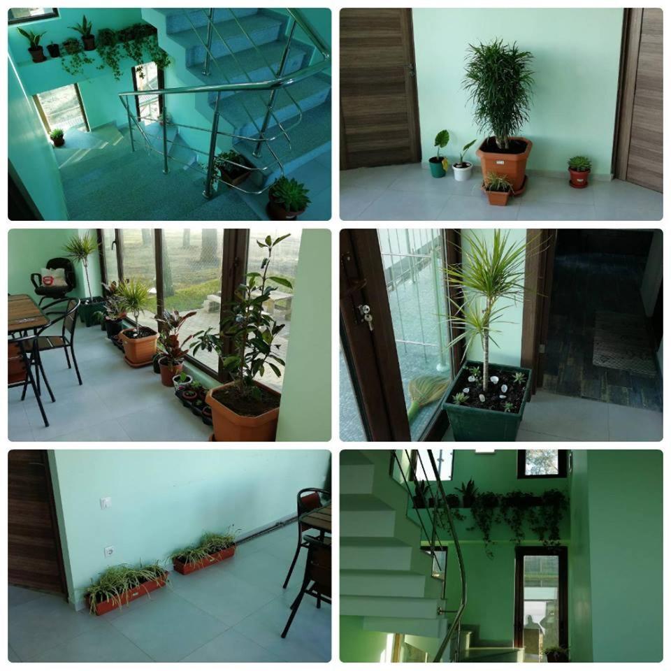 Shekvetili Green House المظهر الخارجي الصورة